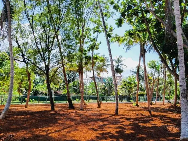 සංචාරකයන් ගේ පාරාදීසයෙක් වන මිදිගම වෙරළ තීරය ආසන්නයෙන් වටිනා ඉඩමක්