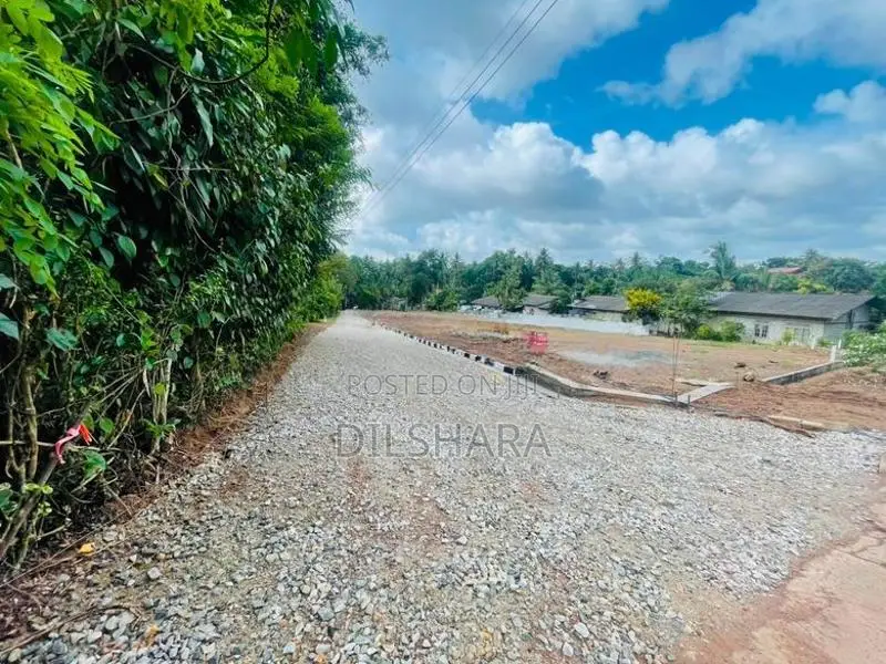 ගම්පහ උඩුගම්පල නගර සීමාවෙන් 244 බස් පාරට නුදුරින් බ්ම් කොටස් කිහිපයක්