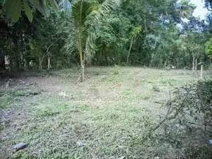 Land for Sale in Ambalanthota