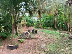 Land for Sale in Wadduwa