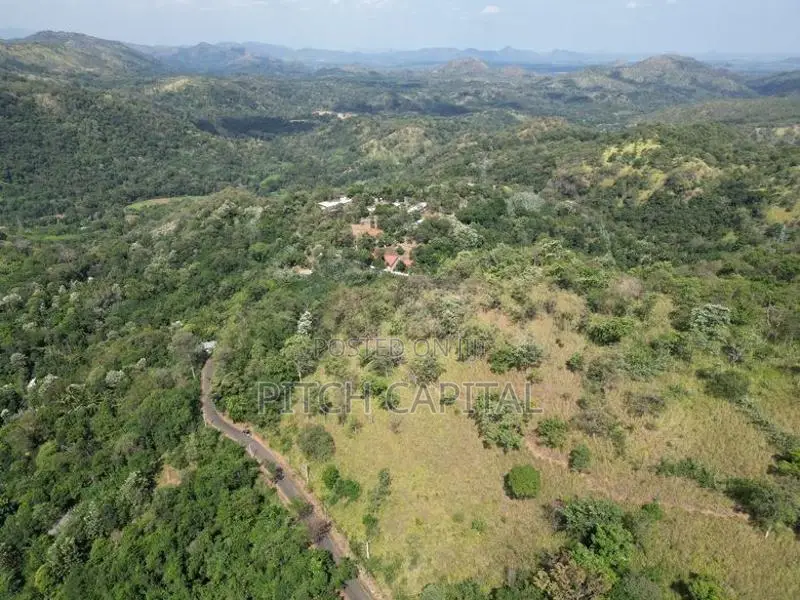 Most Valuable Land Ella