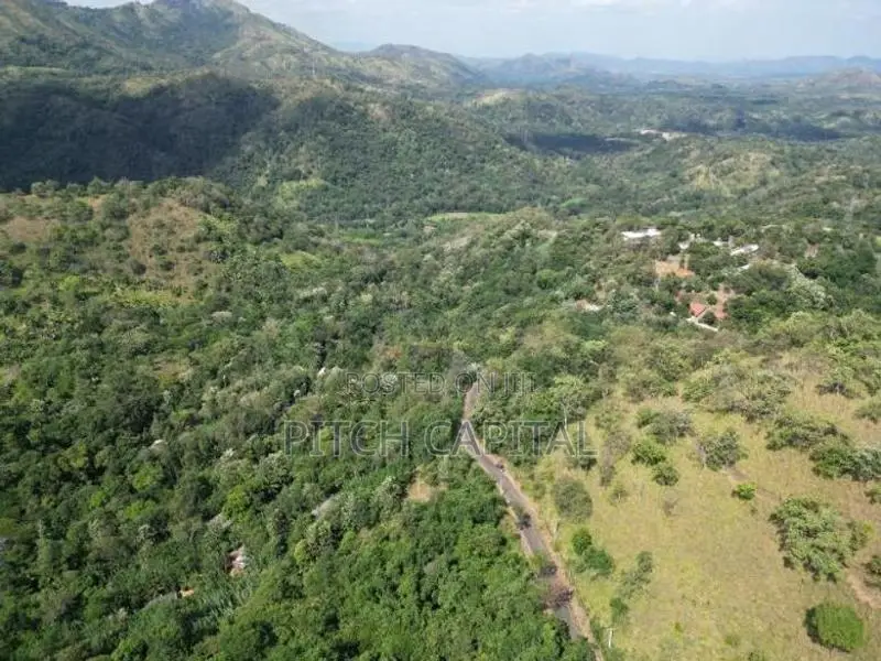 Most Valuable Land Ella