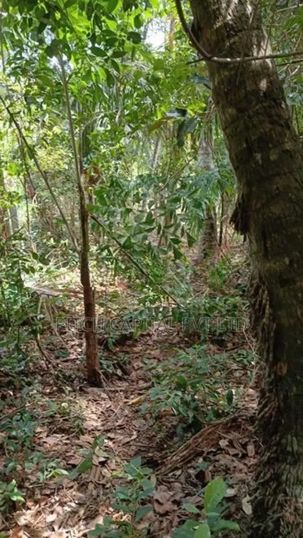 A valuable land for sale in Hiriketiya