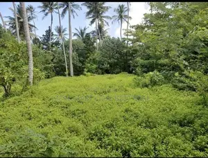 AHANGAMA : 44 PERCHES PREMIUM SEASIDE LAND FOR SALE