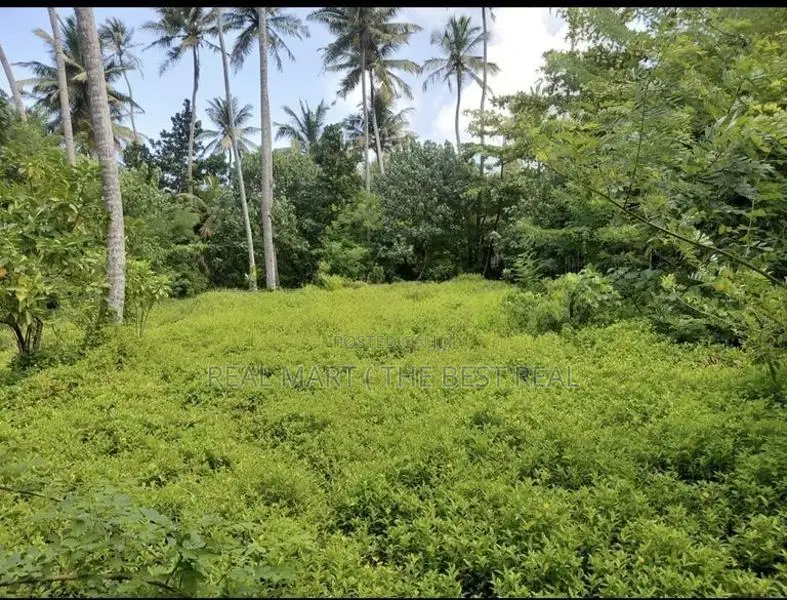 AHANGAMA : 44 PERCHES PREMIUM SEASIDE LAND FOR SALE