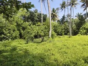 AHANGAMA : 44 PERCHES PREMIUM SEASIDE LAND FOR SALE
