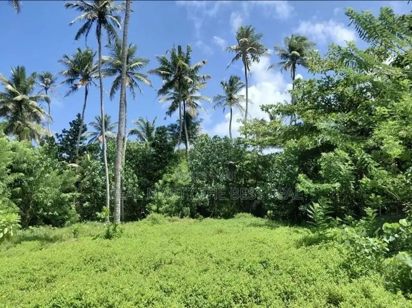 AHANGAMA : 44 PERCHES PREMIUM SEASIDE LAND FOR SALE