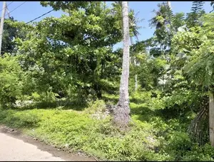 AHANGAMA : 44 PERCHES PREMIUM SEASIDE LAND FOR SALE