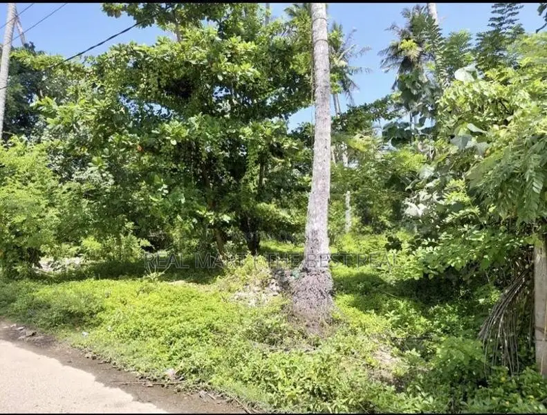 AHANGAMA : 44 PERCHES PREMIUM SEASIDE LAND FOR SALE