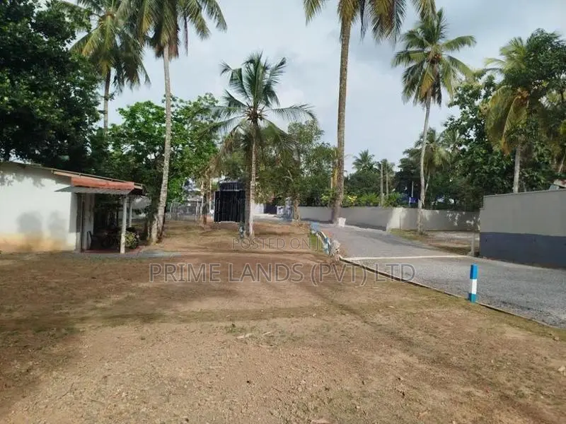 හෝමාගම රෝහල පාරෙන් බිම් කොටස් විකිණීමට