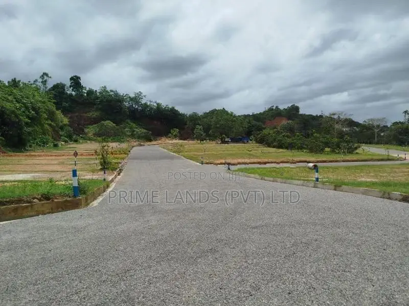 හෝමාගම බෙරුකැටිය බිම් කොටස් විකිණීමට