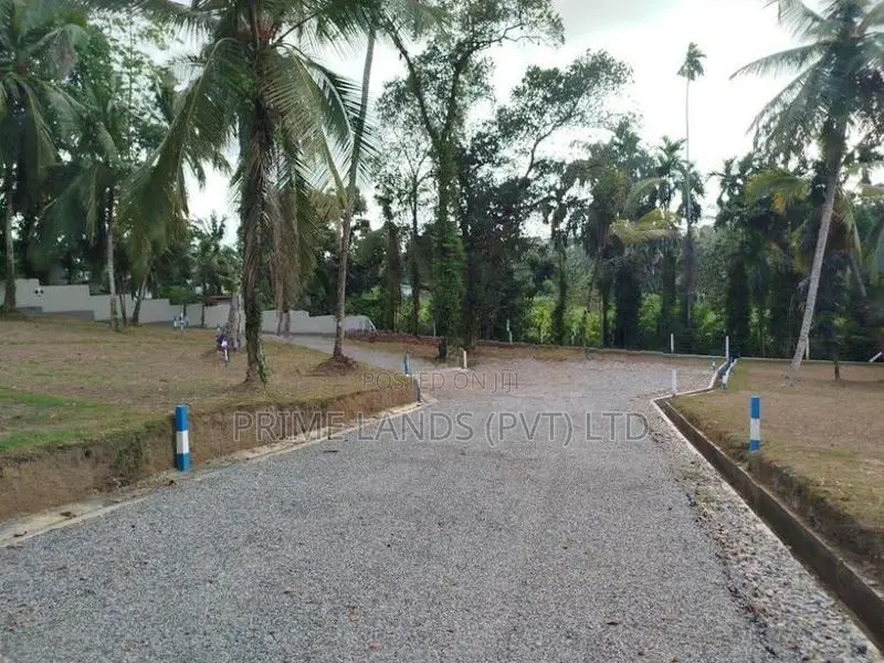 හෝමාගම රෝහල පාරෙන් බිම් කොටස් විකිණීමට