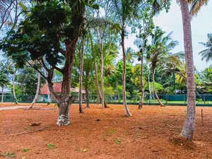 Tourism Luxury Land For Sale in Midigama