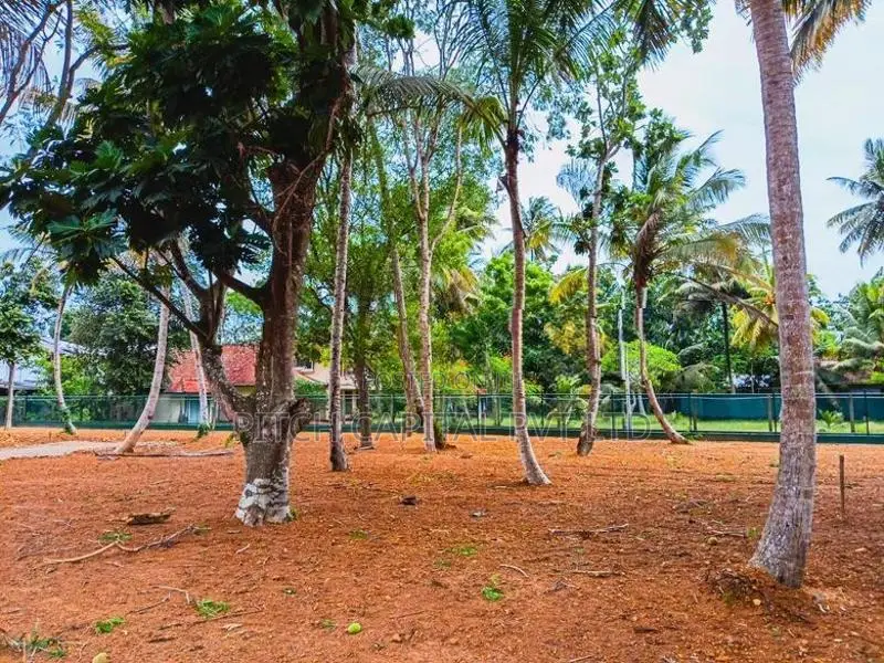 Tourism Luxury Land For Sale in Midigama