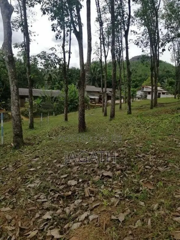 LAND FOR SALE MEEPE