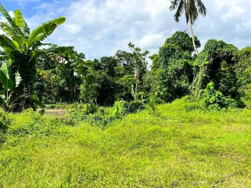 High-level Road Facing 213 Perch Land For Sale In Padukka Meepe