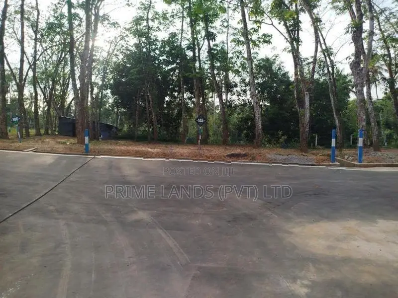 හෝමාගම බෙරුකැටිය බිම් කොටස් විකිණීමට