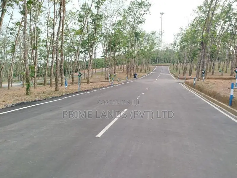 හෝමාගම බෙරුකැටිය බිම් කොටස් විකිණීමට