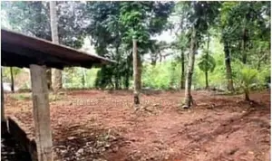 Prime 24-Perch Land for Sale – Ganemulla