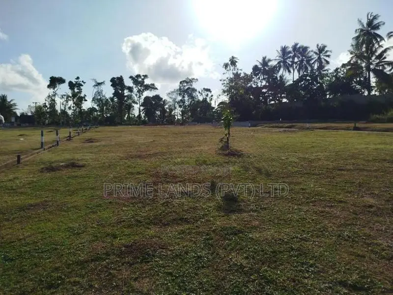 හෝමාගම බෙරුකැටිය බිම් කොටස් විකිණීමට