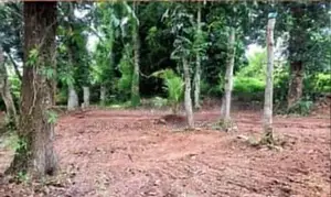 Prime 24-Perch Land for Sale – Ganemulla