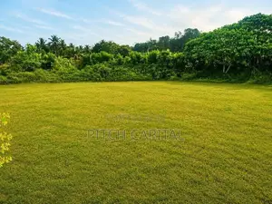 ඉඩමක් මීගොඩිගලින්