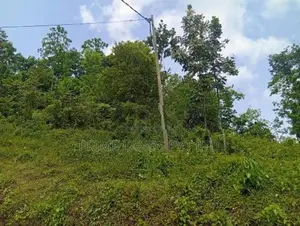 Land Sale in Nelumdeniya