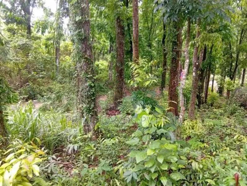 Land Sale in Nelumdeniya