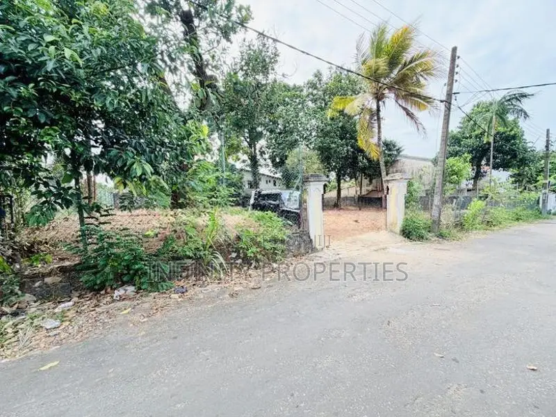(SP35) 19 P Bare Land Sale At Temple Road Thalawathugoda