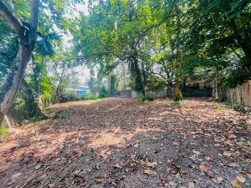 24P Land For Sale In Opposite Side Of Waters Edge Rajagiriya