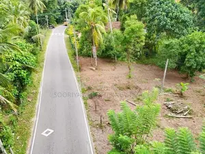 Road Facing Land for Sale Near Veyangoda – Commercial Usec