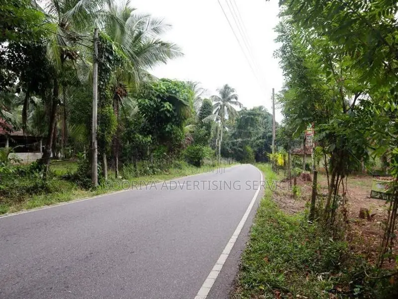Road Facing Land for Sale Near Veyangoda – Commercial Usec