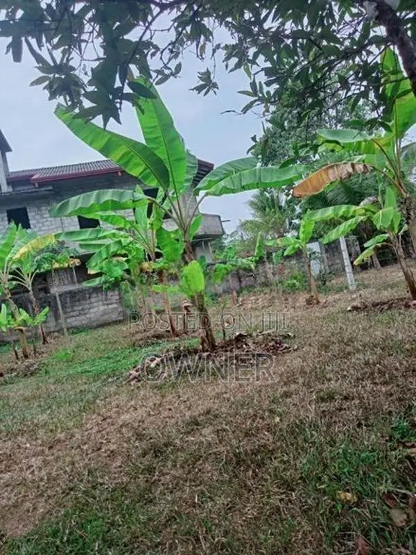 වටිනා ඉඩමක් විකිණීමට .(350m) ප්‍රධාන පාර ට. ජා එල .