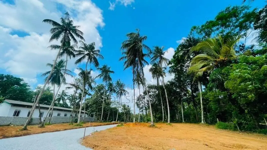 Yakkala නගර සීමාවෙන් කොළඹ නුවර පාරට නුදුරින් වටිනා බිම් කොටස් කිහිපයක්