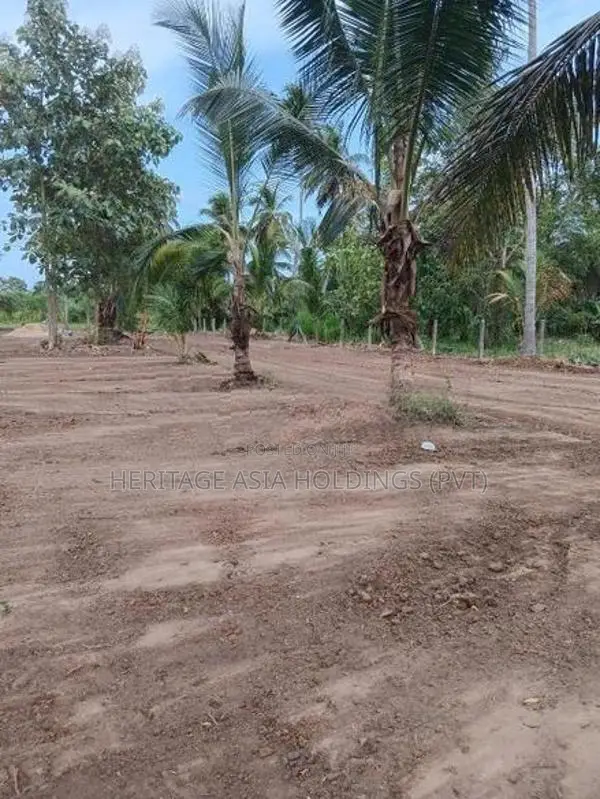 පෙරිමියන්කුලම අනුරාධපුර