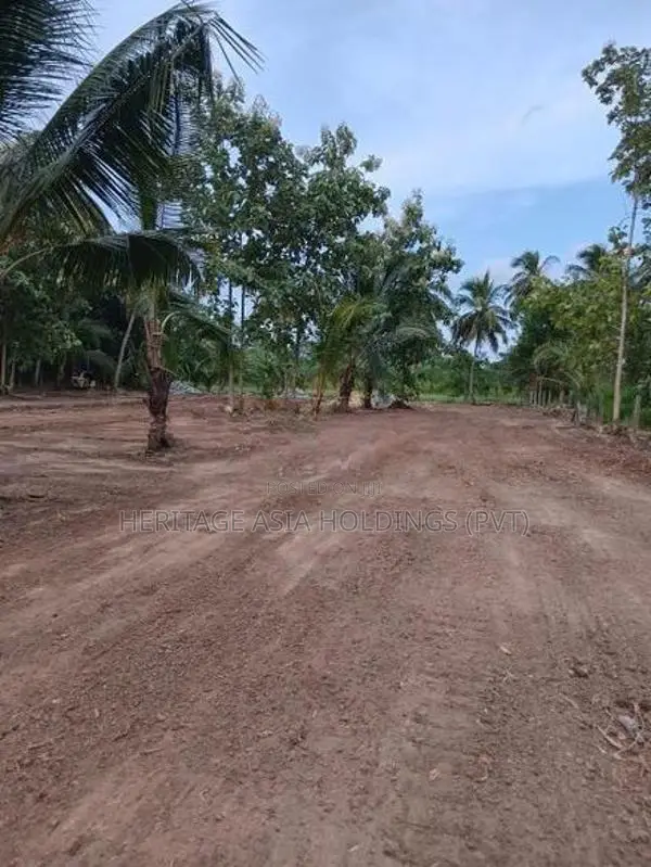 පෙරිමියන්කුලම අනුරාධපුර