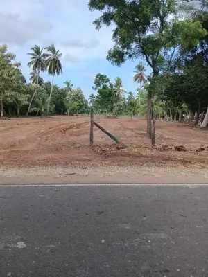 අනුරාධපුරයෙන් ඉඩමක්