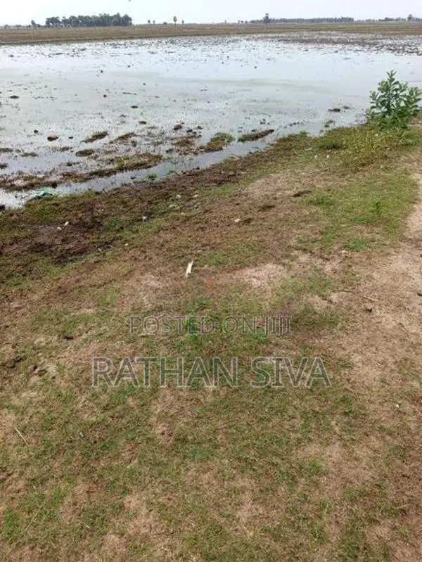 விவசாய வயல் 10 ஏக்கர் மரப்பாலம்
