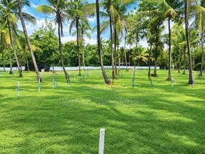 Melsiripura Town Land for Sale
