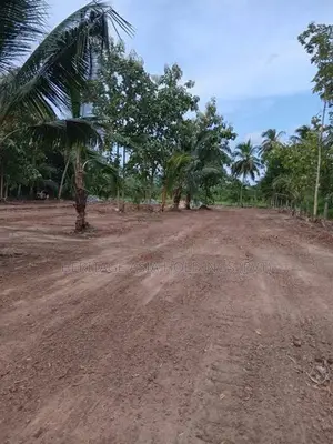 Land for Sale in Anuradapura