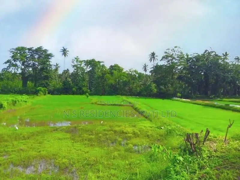 Land for Sale Giriulla P2