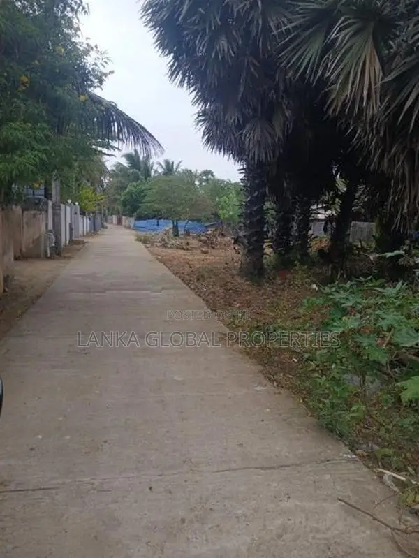 Land for Sale Jaffna