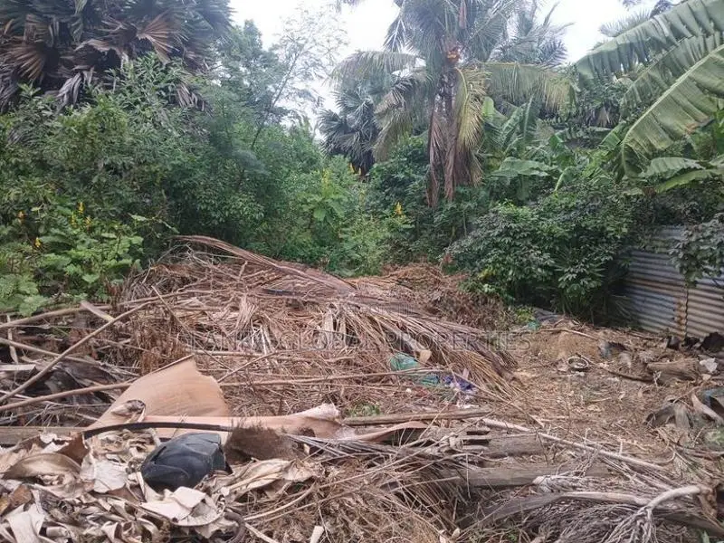 Land for Sale Jaffna