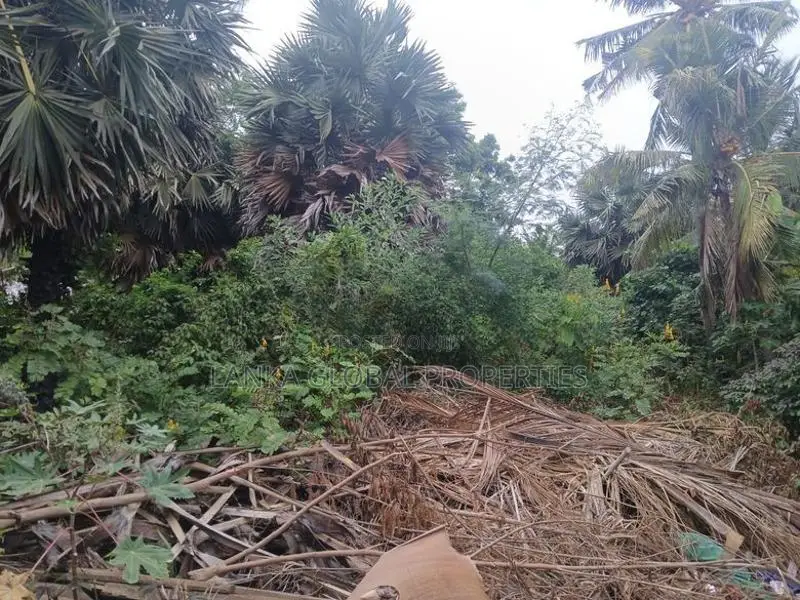 Land for Sale Jaffna