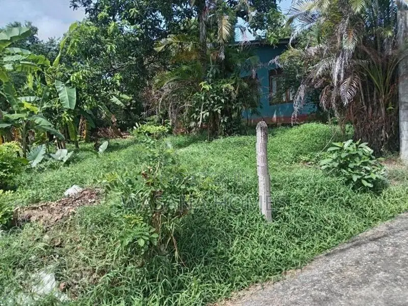 Super Land for Sale Maharagama
