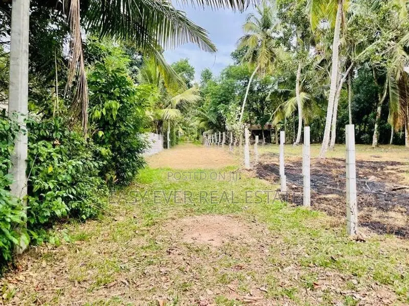 මිනුවන්ගොඩ නගරයෙන් වටිනා නේවාසික ඉඩමක් / KK 10495