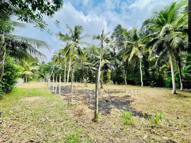 මිනුවන්ගොඩ නගරයෙන් වටිනා නේවාසික ඉඩමක් / KK 10495