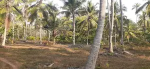 කුරුණෑගල අධීවේගී පිවිසුමට ළගින් ඉඩමක්