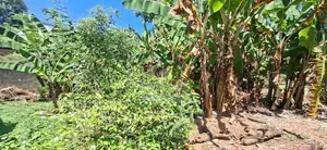 Land for sale Boralasgamuwa Abillawaththa