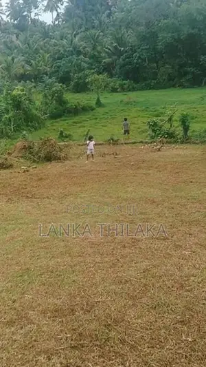 Land for sale in hirana